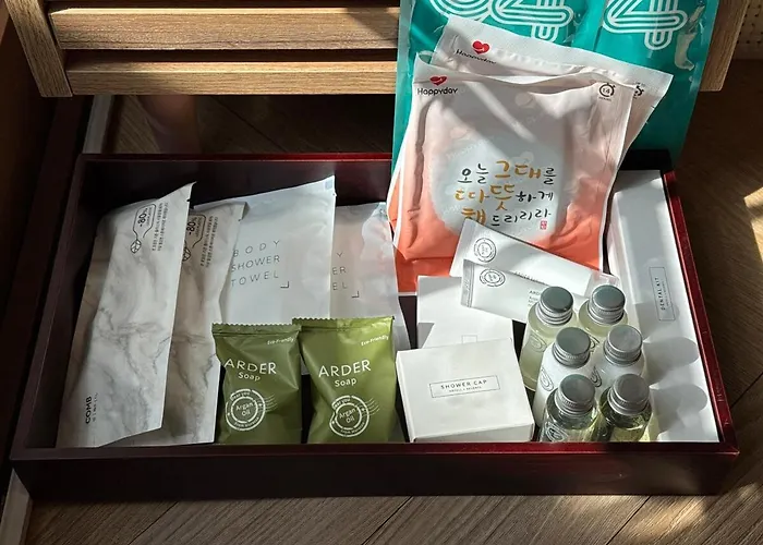 ヴィラ 2 Minute Walk From Gyeongbokgung Station Hanok Mongyu 夢遊 Wellness Bathtub Netflix ソウル特別市